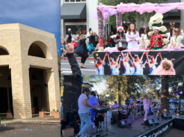 Best of Los Gatos arts and entertainment